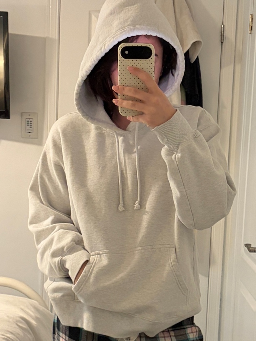 Aritzia Hoodie
